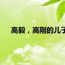 高毅，高刚的儿子