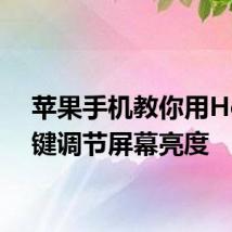 苹果手机教你用Home键调节屏幕亮度