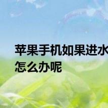 苹果手机如果进水应该怎么办呢