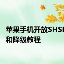 苹果手机开放SHSH下载和降级教程