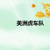 美洲虎车队