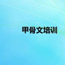 甲骨文培训