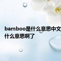 bamboo是什么意思中文翻译是什么意思啊了