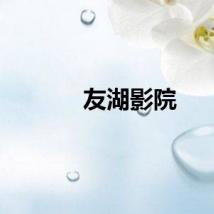 友湖影院