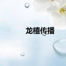 龙禧传播