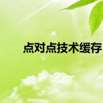 点对点技术缓存