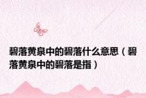 碧落黄泉中的碧落什么意思(碧落黄泉中的碧落是指)