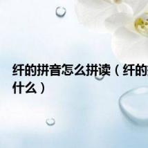 纤的拼音怎么拼读(纤的拼音是什么)