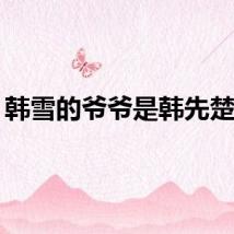 韩雪的爷爷是韩先楚吗？