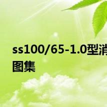 ss100/65-1.0型消火栓图集