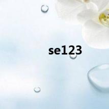 se123