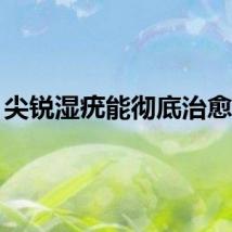 尖锐湿疣能彻底治愈吗？