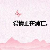 爱情正在消亡。