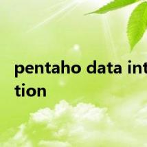 pentaho data integration