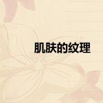 肌肤的纹理