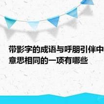 带影字的成语与呼朋引伴中的引字意思相同的一项有哪些