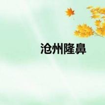 沧州隆鼻