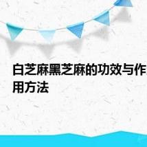 白芝麻黑芝麻的功效与作用及食用方法
