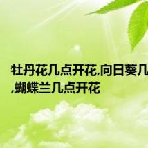牡丹花几点开花,向日葵几点开花,蝴蝶兰几点开花