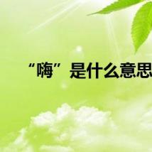 “嗨”是什么意思？