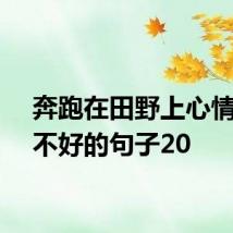 奔跑在田野上心情好和不好的句子20