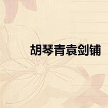 胡琴青袁剑铺