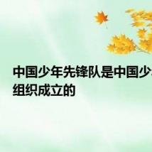 中国少年先锋队是中国少年什么组织成立的