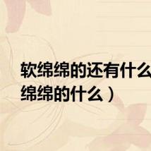 软绵绵的还有什么（软绵绵的什么）