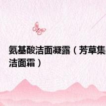 氨基酸洁面凝露(芳草集氨基酸洁面霜)