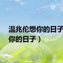 温兆伦想你的日子（想你的日子）