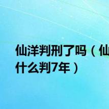 仙洋判刑了吗(仙洋为什么判7年)