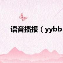 语音播报（yybb）