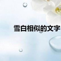 雪白相似的文字
