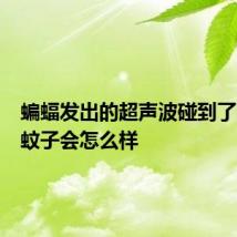 蝙蝠发出的超声波碰到了飞蛾和蚊子会怎么样
