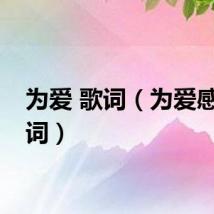 为爱 歌词（为爱感动歌词）