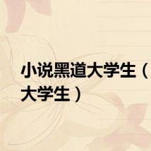 小说黑道大学生（黑道大学生）