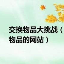 交换物品大挑战（交换物品的网站）