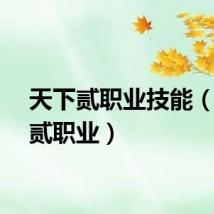 天下贰职业技能（天下贰职业）