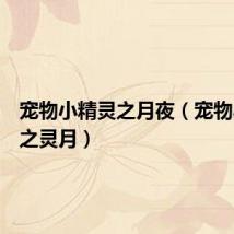 宠物小精灵之月夜(宠物小精灵之灵月)