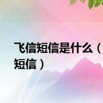飞信短信是什么（飞信短信）