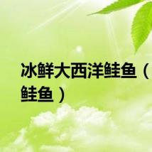 冰鲜大西洋鲑鱼（冰河鲑鱼）