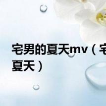 宅男的夏天mv(宅男的夏天)