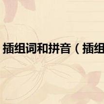 插组词和拼音（插组词）