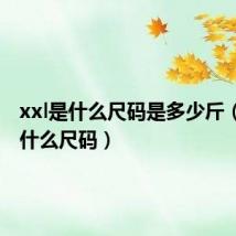 xxl是什么尺码是多少斤(xxl是什么尺码)