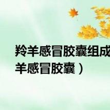羚羊感冒胶囊组成（羚羊感冒胶囊）