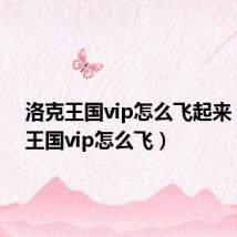 洛克王国vip怎么飞起来(洛克王国vip怎么飞)