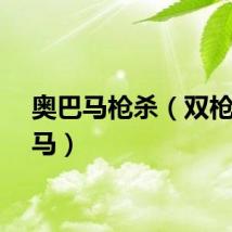 奥巴马枪杀（双枪奥巴马）