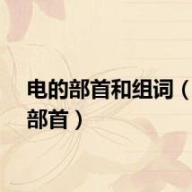 电的部首和组词（电的部首）