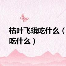 枯叶飞蛾吃什么（飞蛾吃什么）