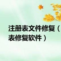 注册表文件修复（注册表修复软件）